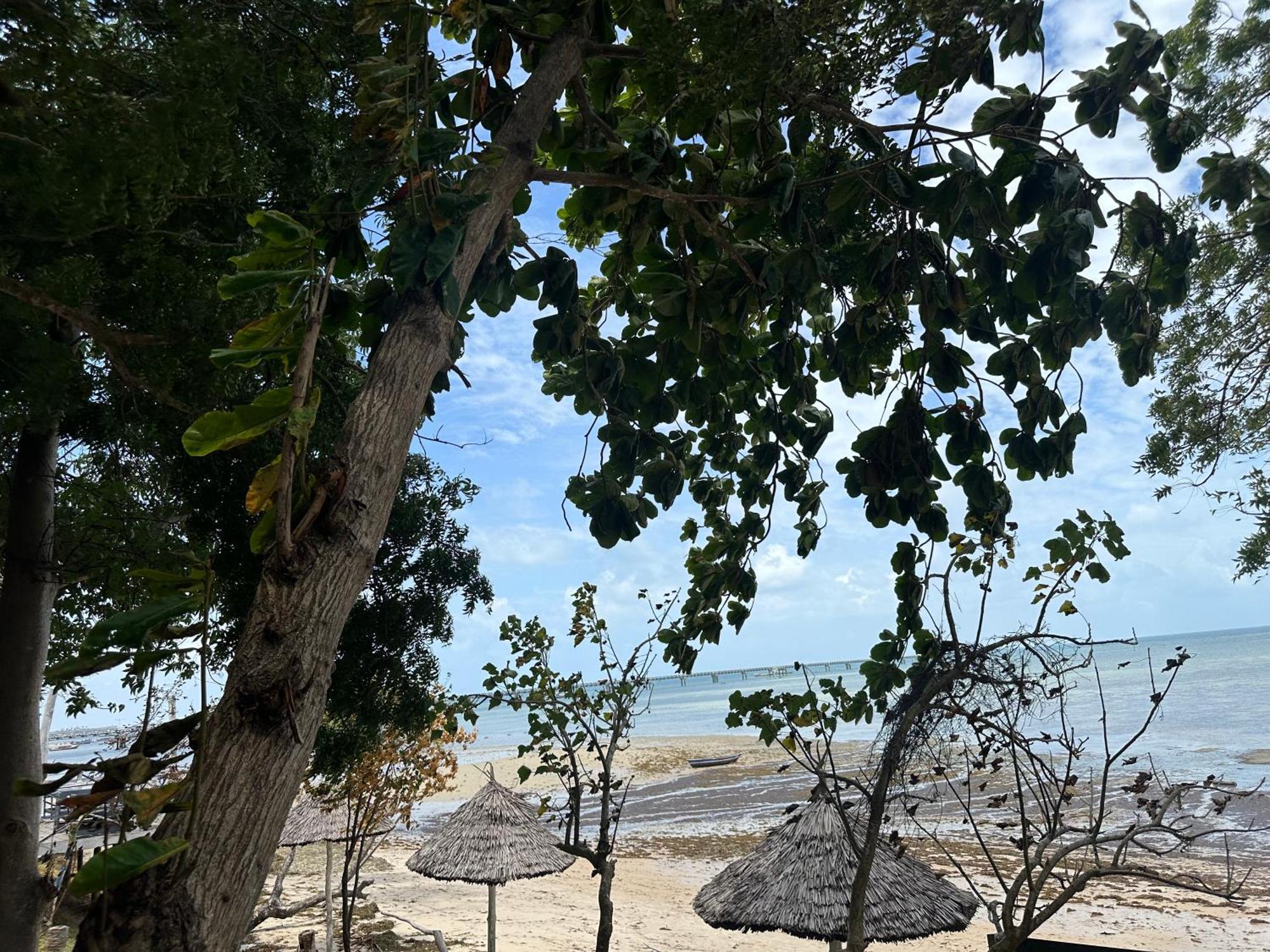 Maweni Beach Bungalows Kilindoni Exterior photo